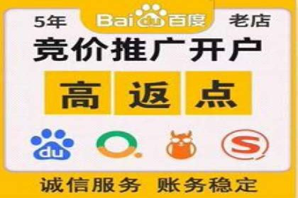 SEM关键词优化实战案例分析